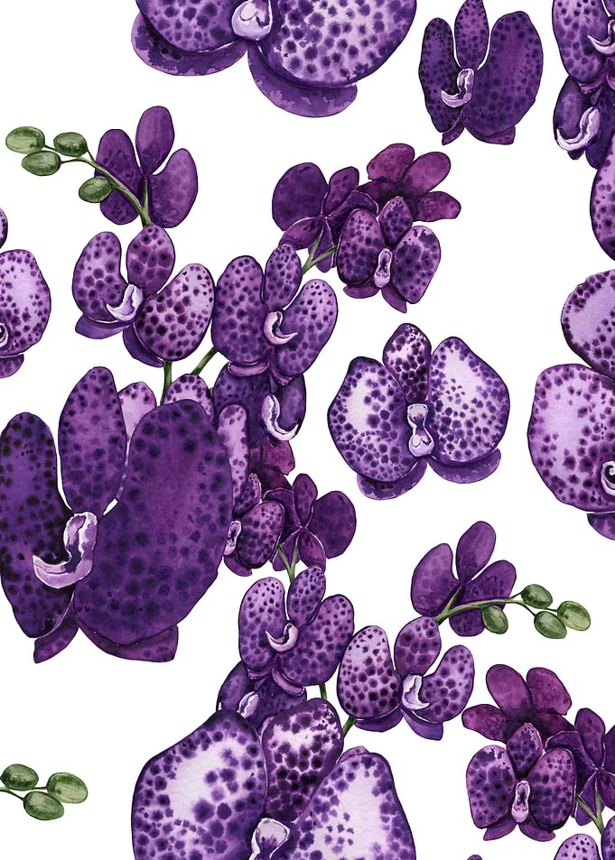Orchids Pattern 04