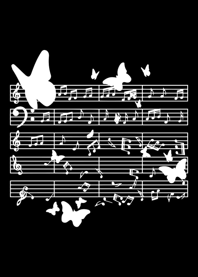 music teacher musician