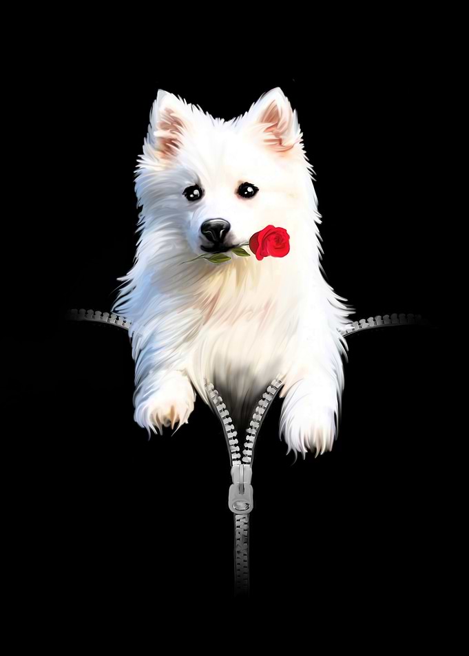 Japanese Spitz with Rose