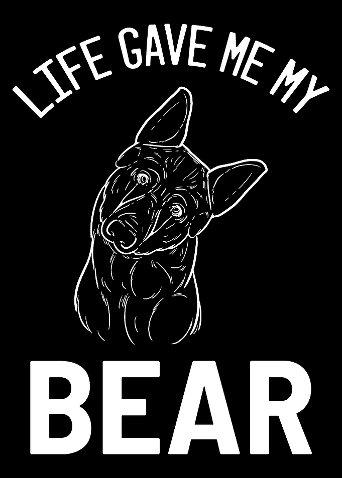 German Shepherd Bear Dog P