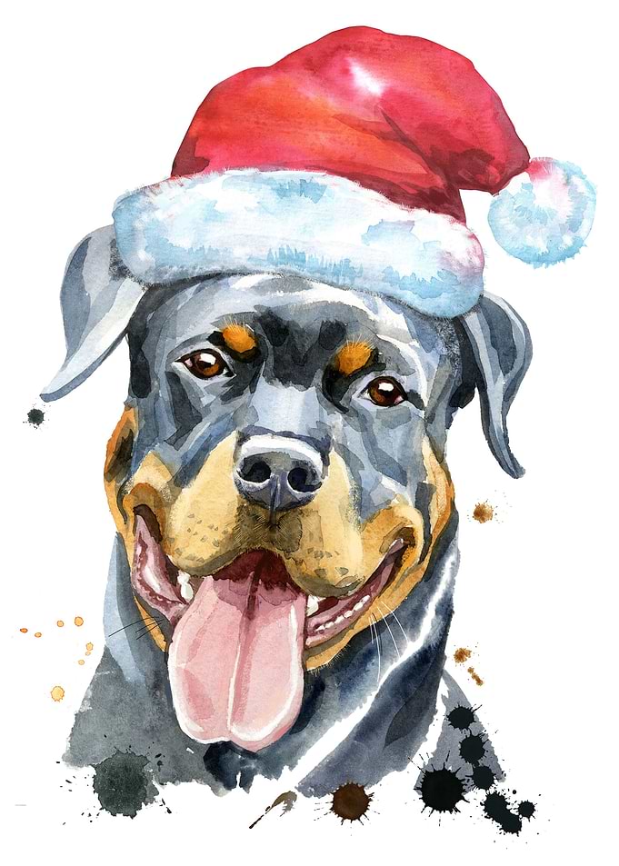 CHRISTMAS ROTTWEILER DOG