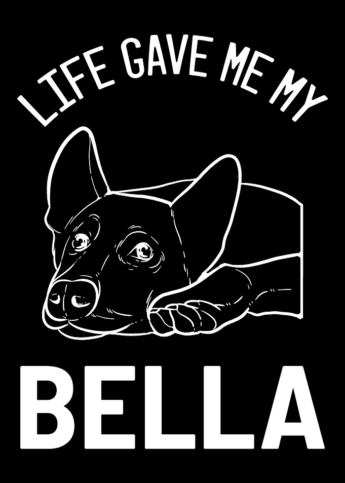 German Shepherd Bella Pet
