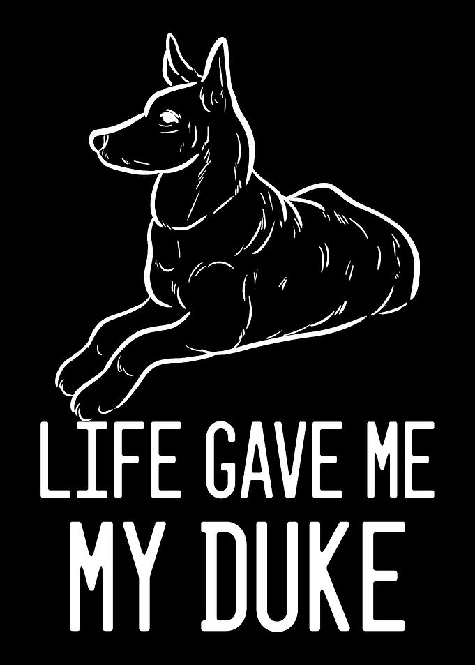 German Shepherd Duke Germa