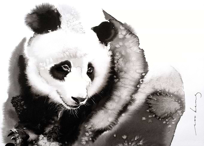 Cosy Panda2