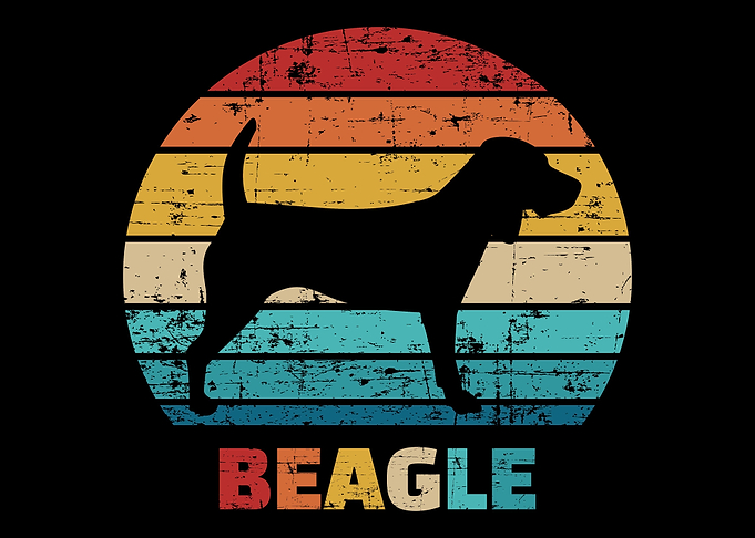 Beagle