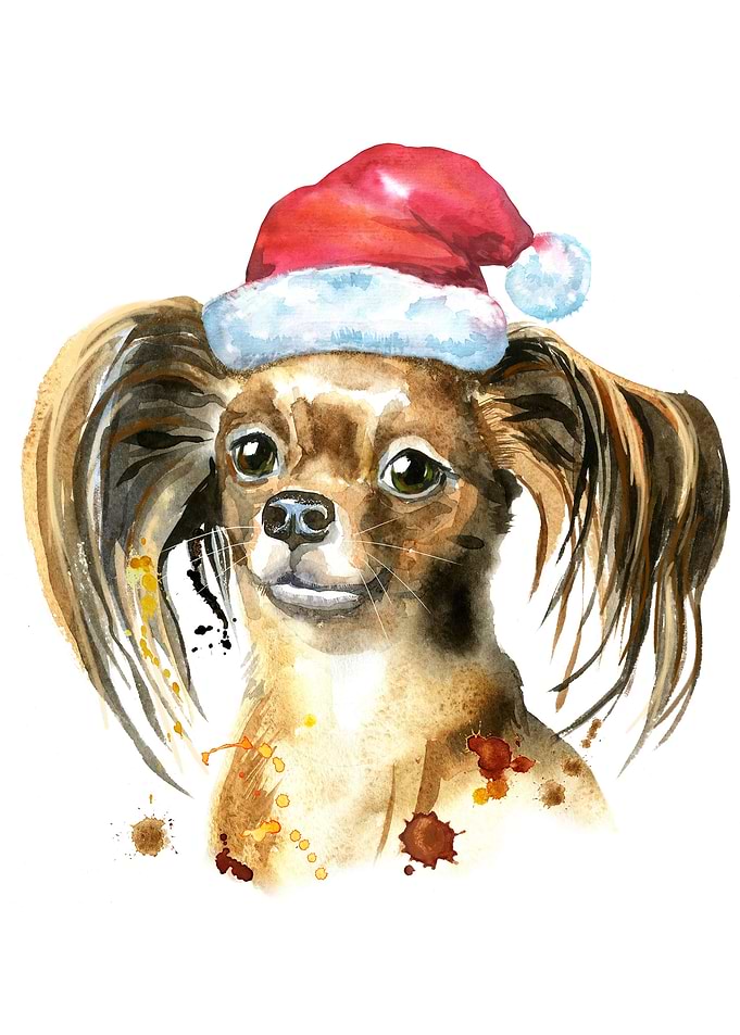 CHRISTMAS RUSSKIY TOY DOG