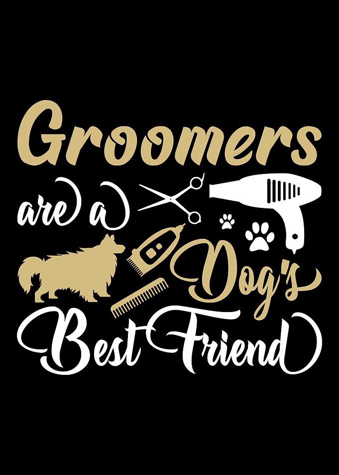 Dog hairdresser