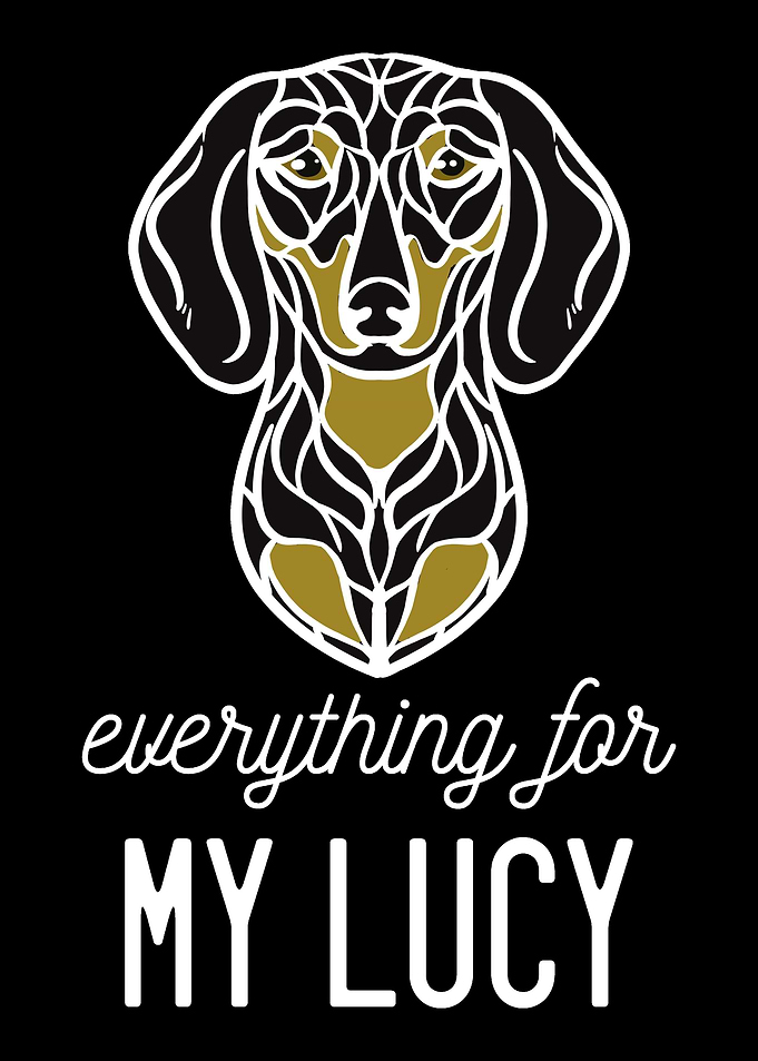 Dachshund Lucy Dachshund O