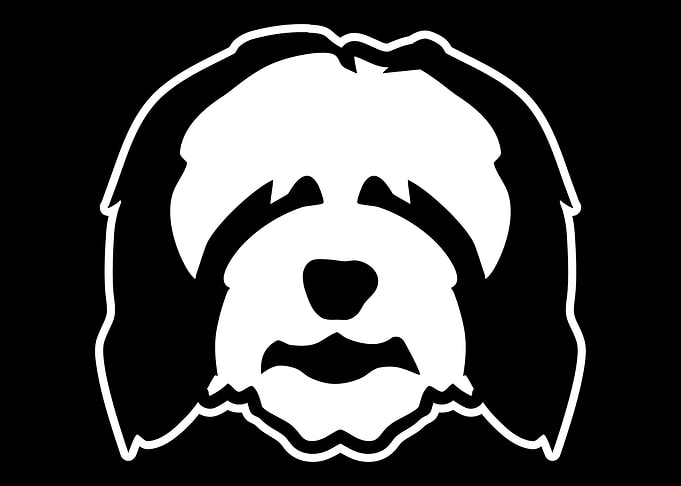 Bearded Collie