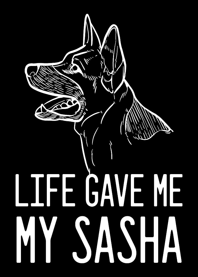 German Shepherd Sasha Dog