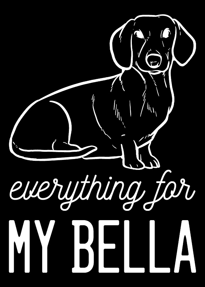 Dachshund Bella Dog Traine