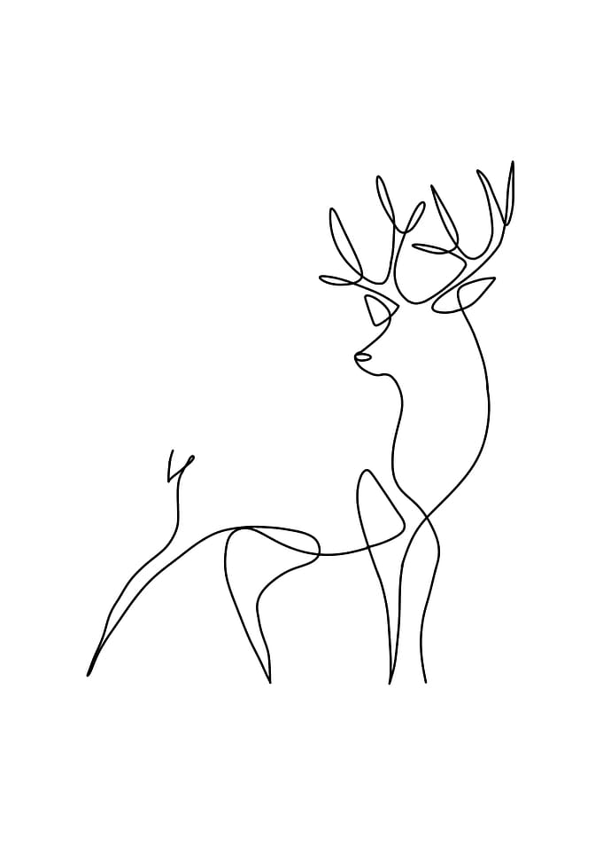 Deer Poster