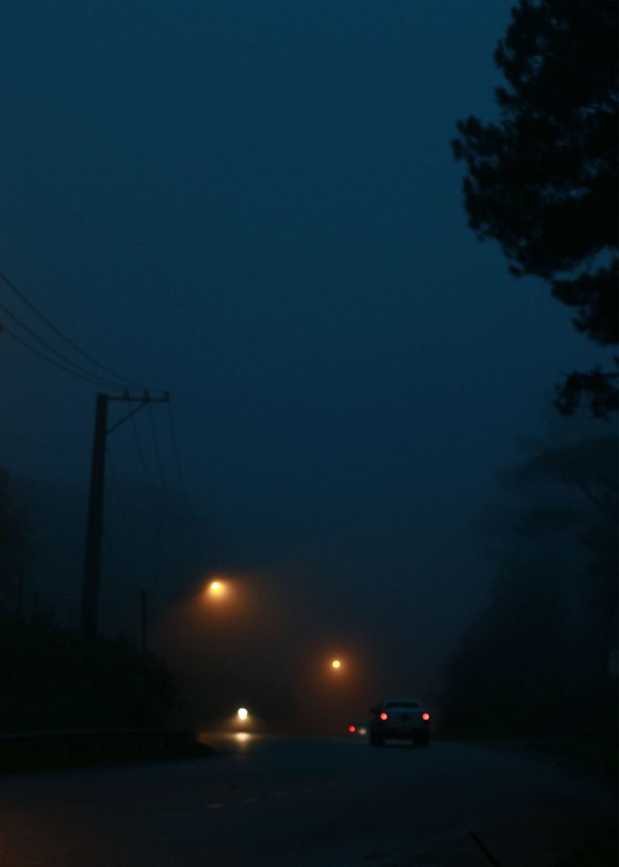 Road in fog