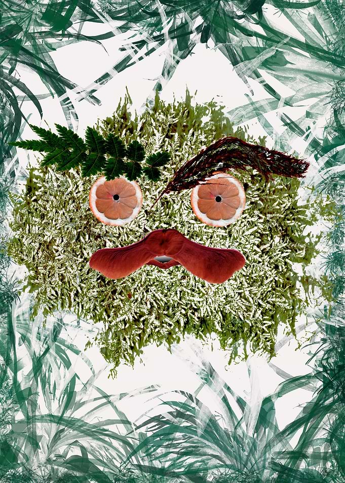 Leaves Forest Monster