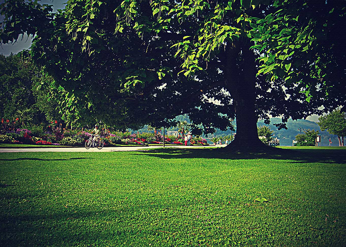 Lanscape