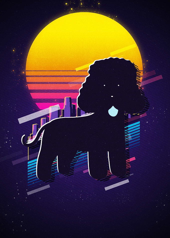 Irish Water Spaniel