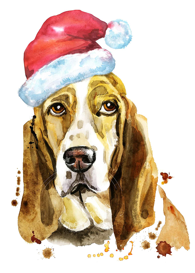 CHRISTMAS BASSET HOUND DOG