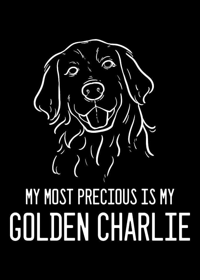 Golden Retriever Charlie A