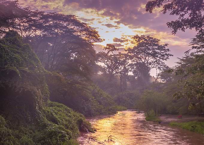 Sunrise view of Ishasha