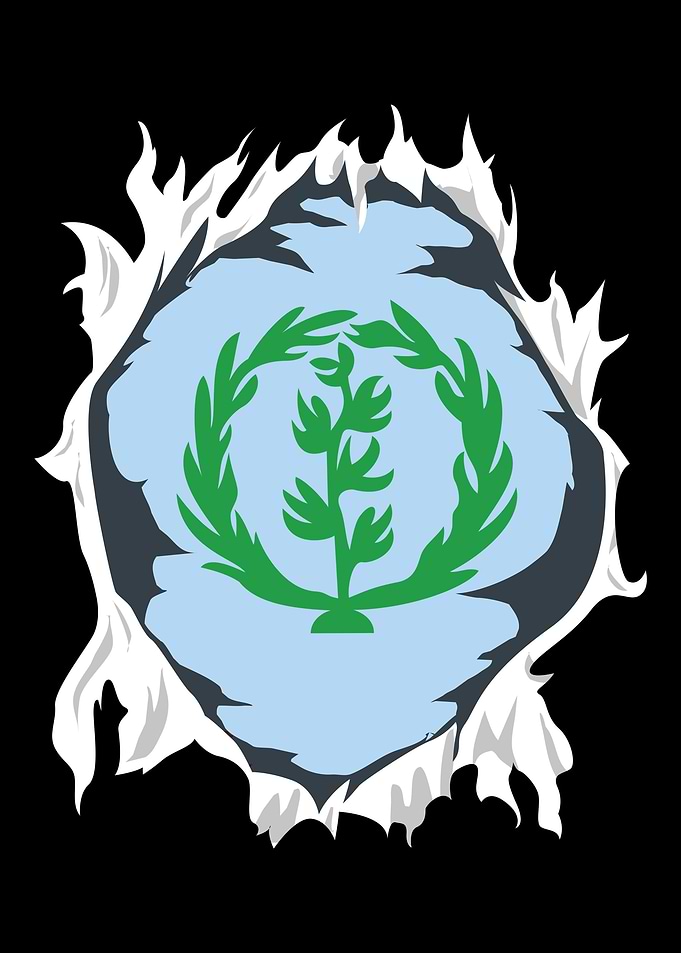 Eritrea Flag Habesha Gift