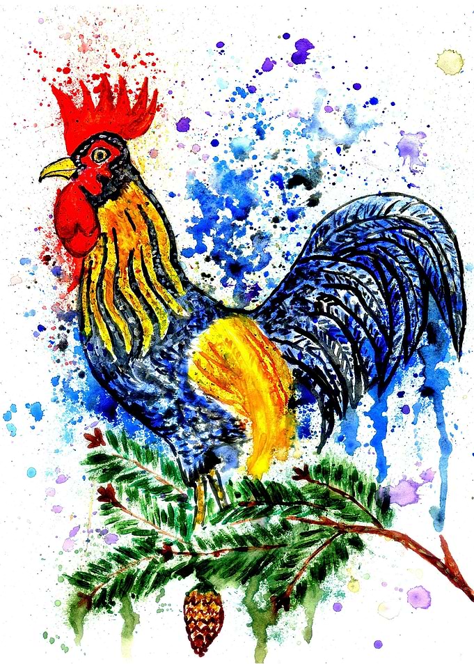 Blue and yellow rooster