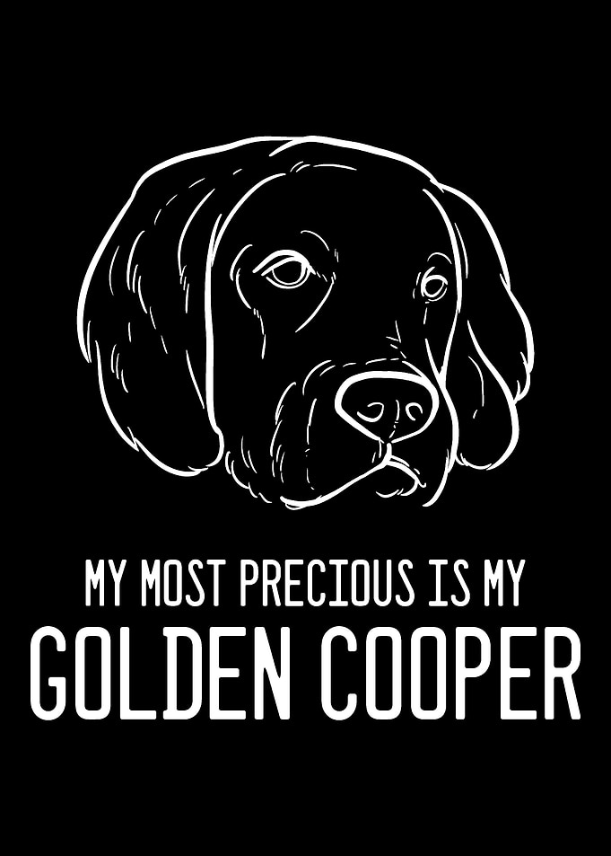 Golden Retriever Cooper An