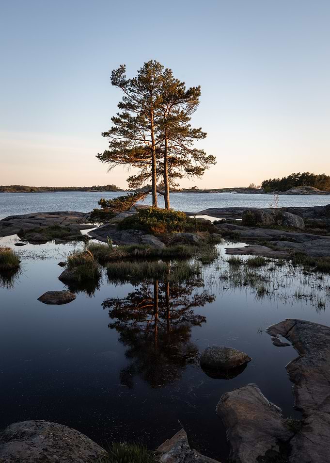 Reflection