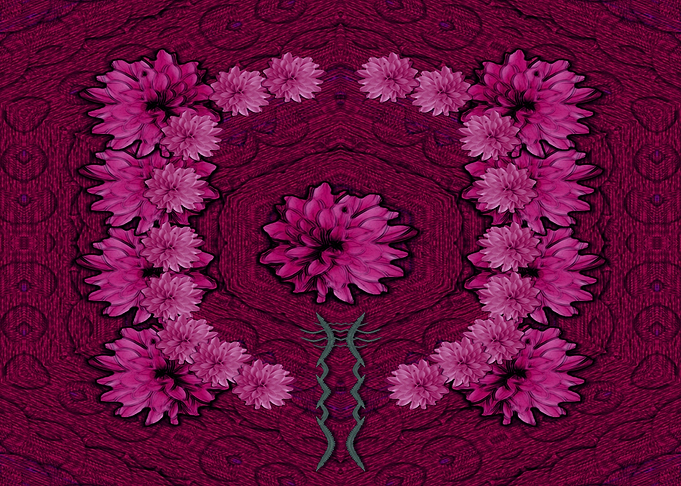 summer flowers in dark