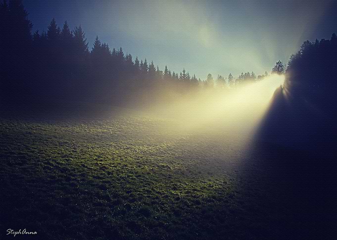 Lanscape