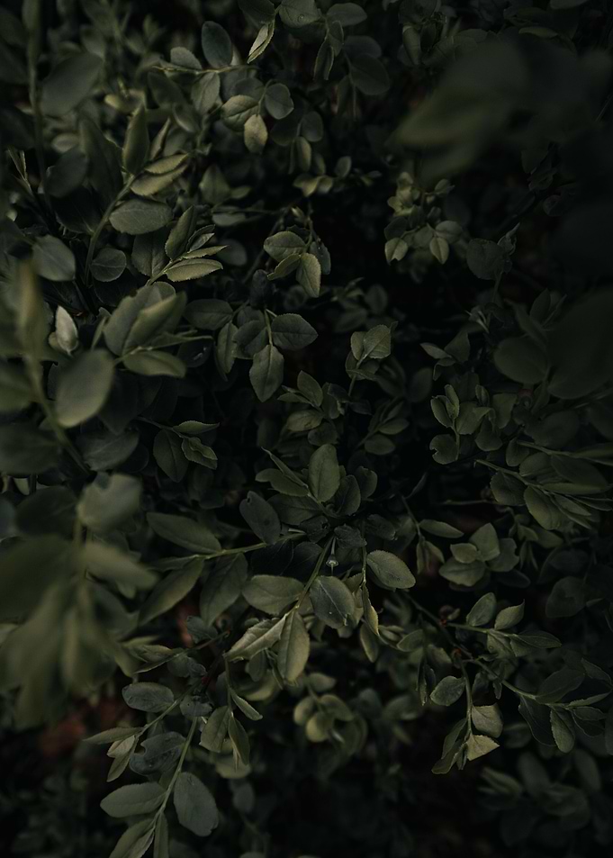 Natural texture