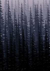 THE FOREST