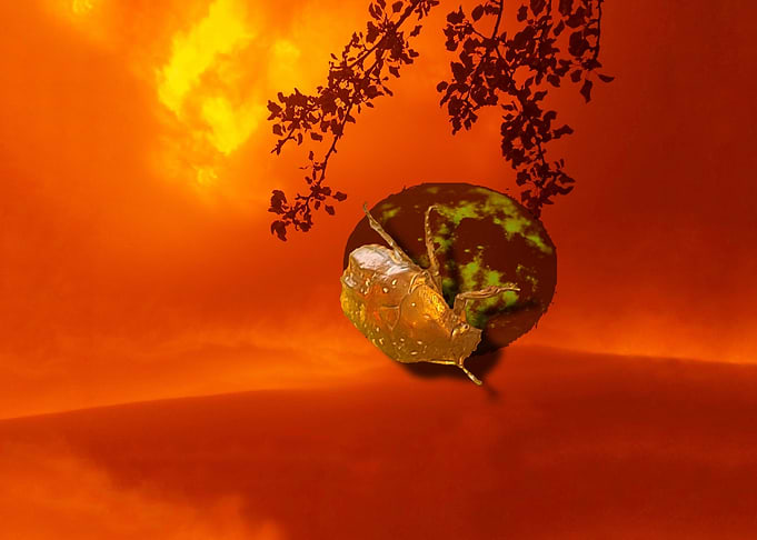 planet