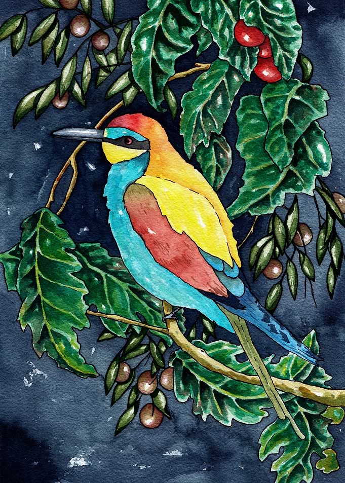 Bee eater bird