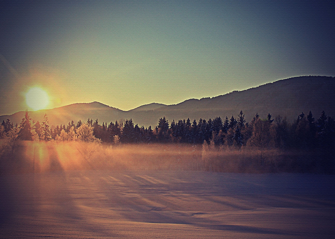 Lanscape