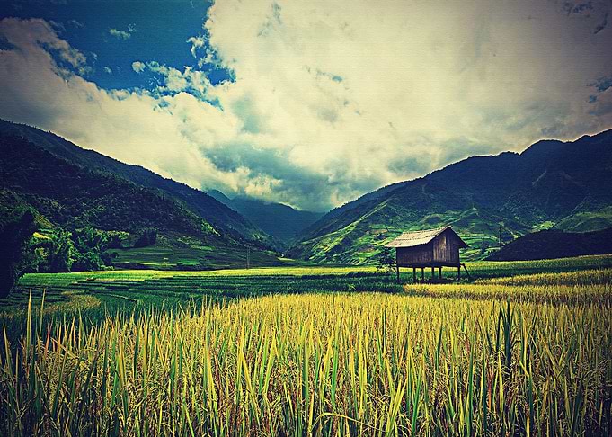Lanscape