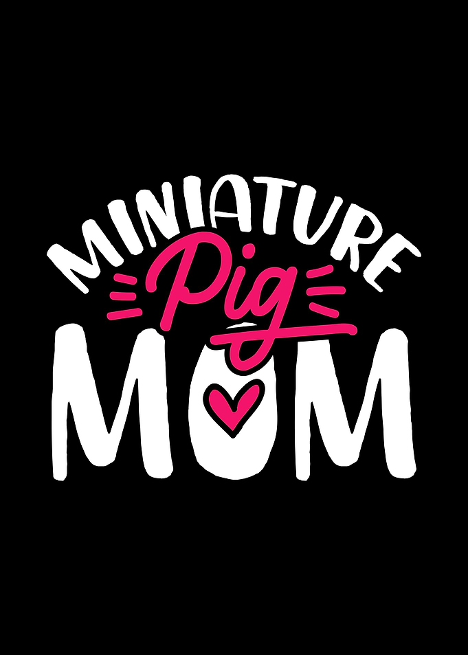 Miniature Pigs Mom Mama Fa