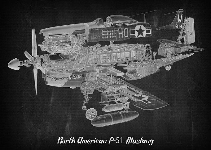 North American P51 Mustan