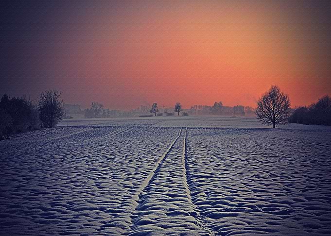 Lanscape