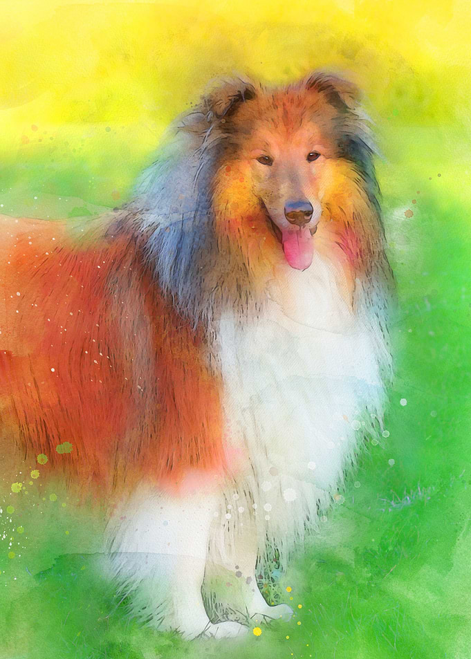 Cute Dog