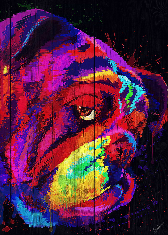 Bulldog