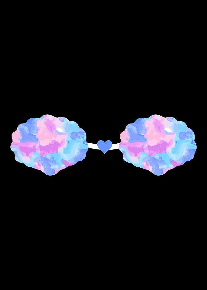 Mermaid Shell Seashell Bra