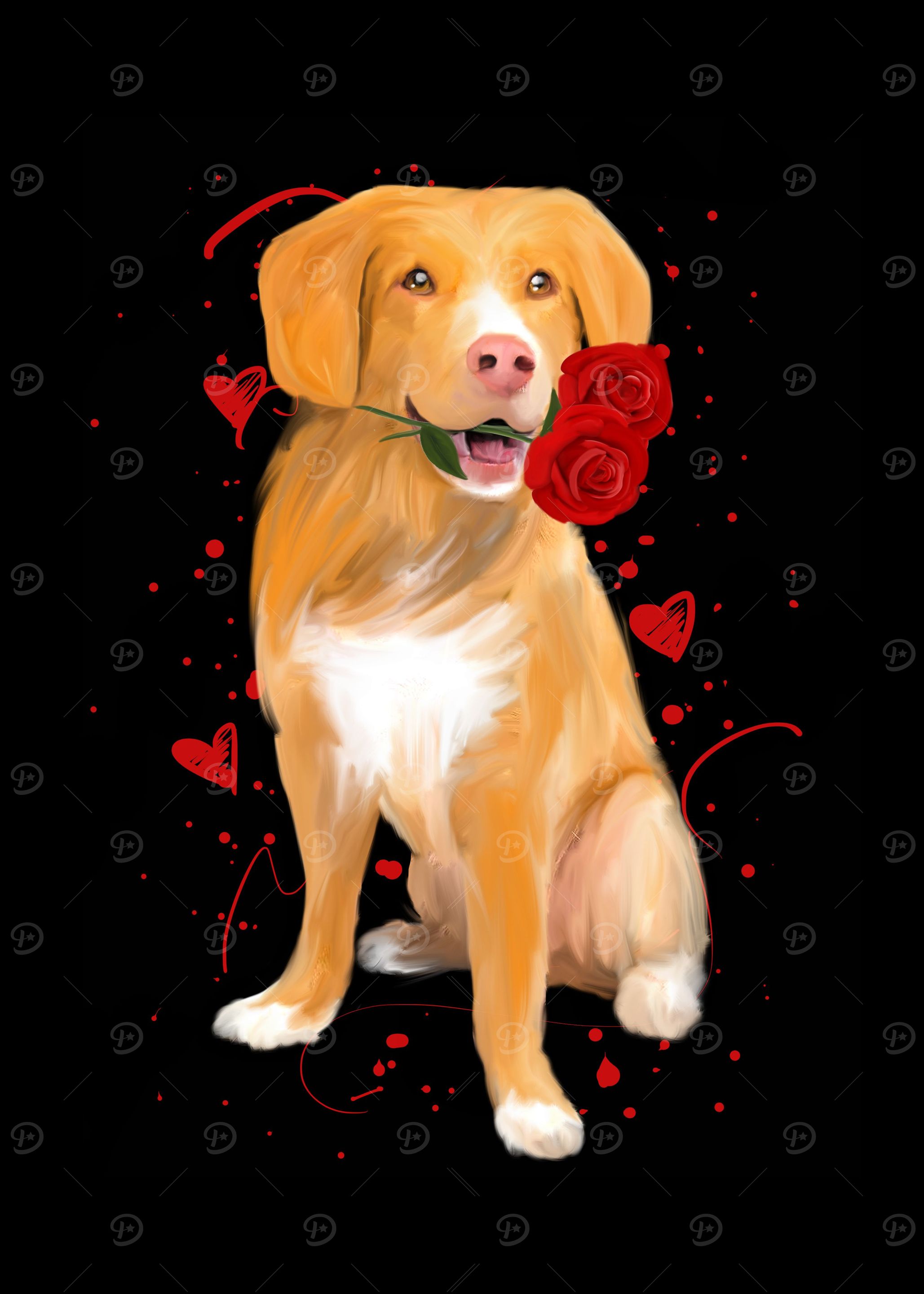 Nova Scotia Retriever Rose
