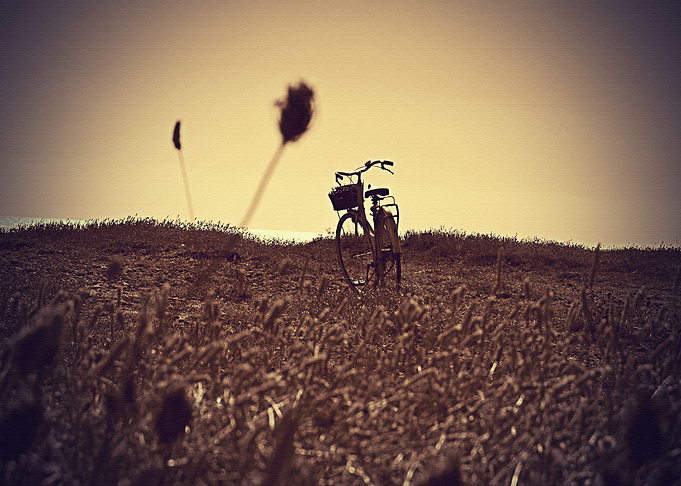 Lanscape