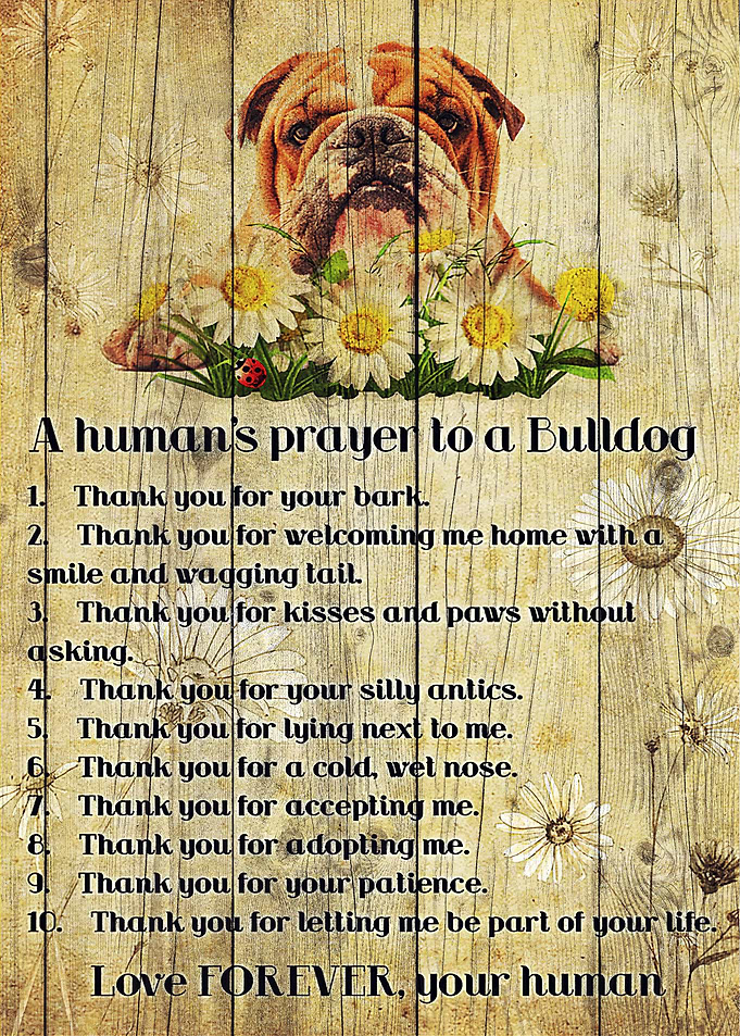 Bulldog