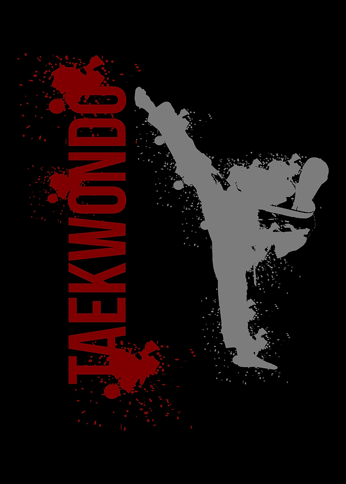 Taekwondo Martial Arts Kic