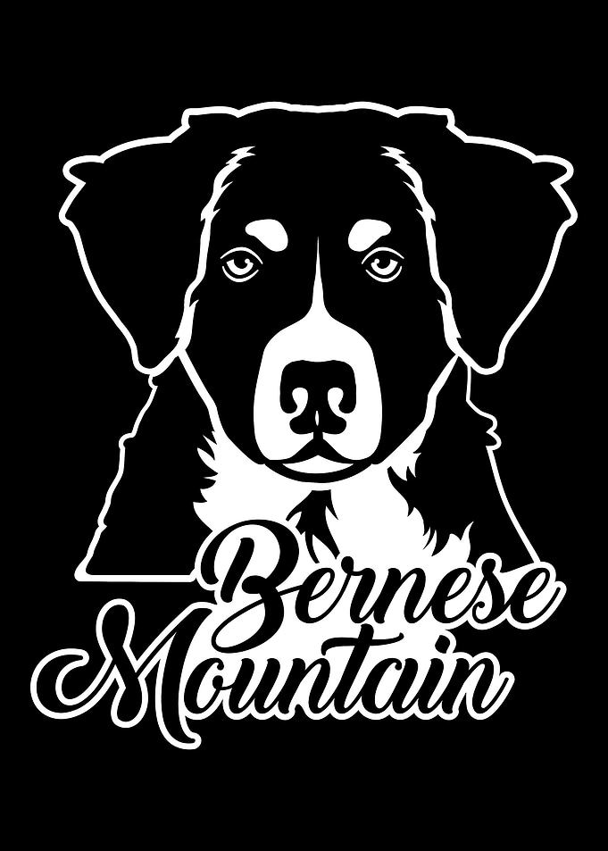 Bernese Mountain