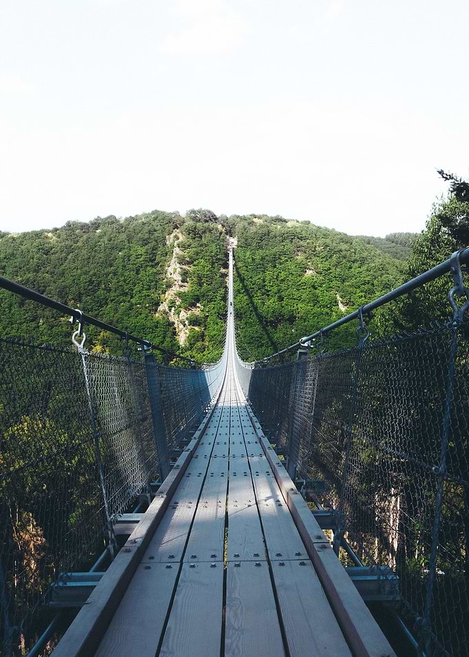 Suspended wooden Bridge