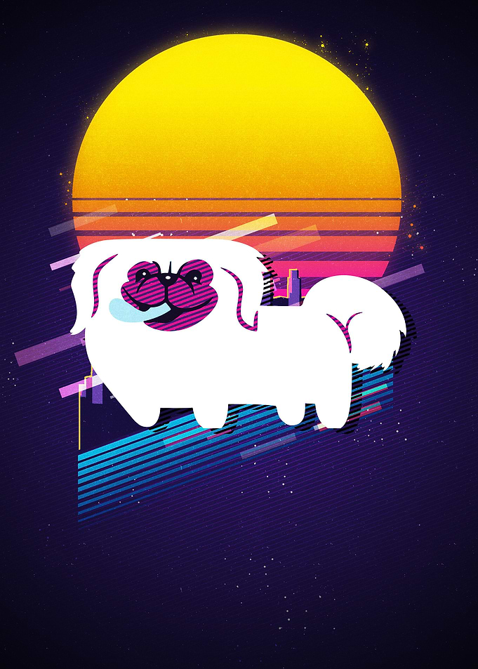 Pekingese