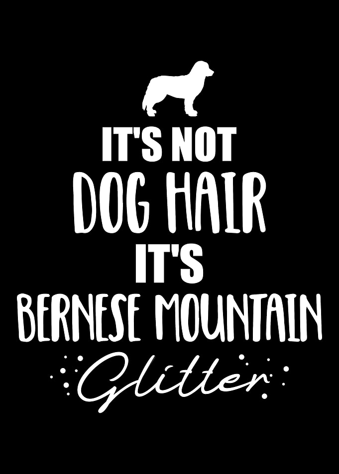 Bernese Mountain