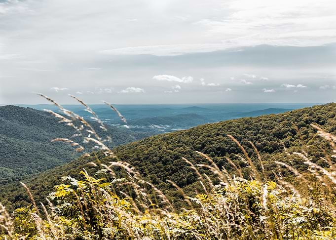 Shenandoah Overlook